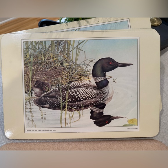 Vintage cork backed place mats common loon set of 4 matching - Picture 2 of 5